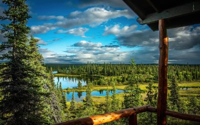 The Royal Wolf Lodge Legacy Continues