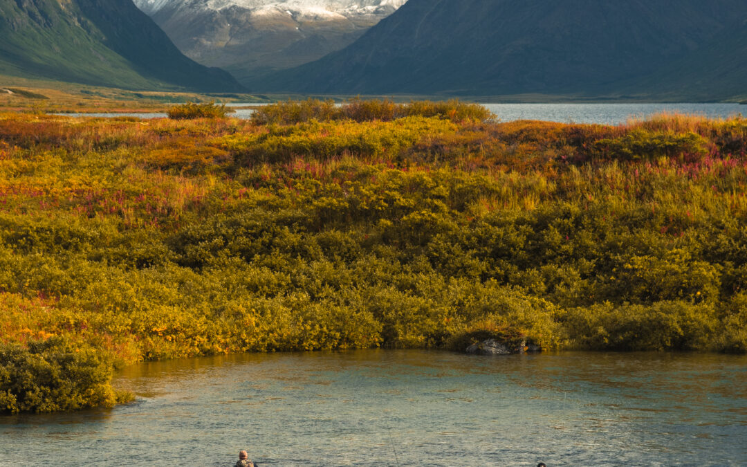 Alaska Fishing Lodge Guide: Royal Wolf Lodge Delivers Luxury, Wilderness & Big Trout