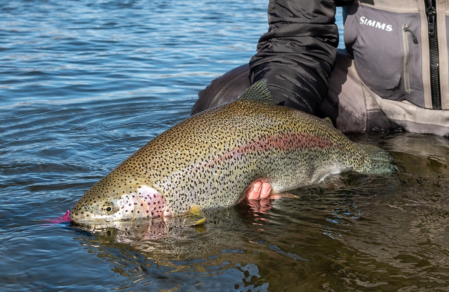 Alaska Trout Fishing Lodge