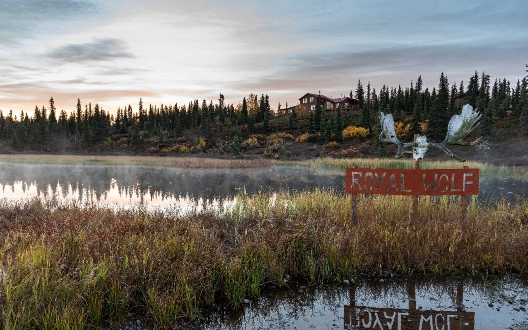 alska fly fishing fly in lodge